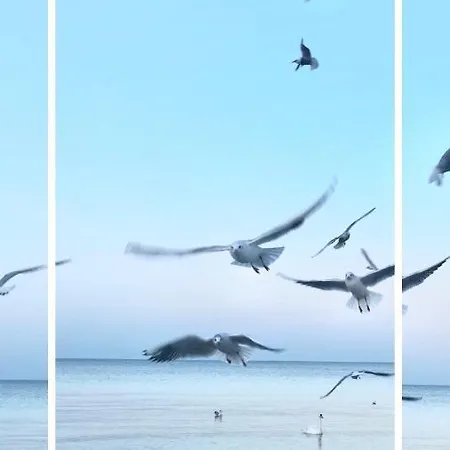 Nadmorskie Tarasy Park I Morze Z Garazem, Basen, Sauna, Jacuzzi Колобжег